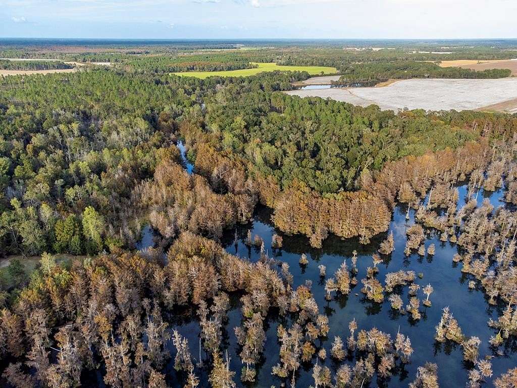 165 Acres of Recreational & Residential Land for Sale in Sylvester, Georgia