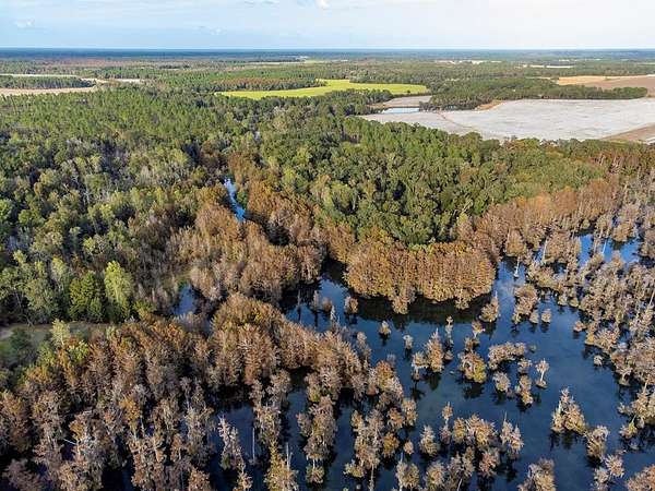 165 Acres of Recreational & Residential Land for Sale in Sylvester, Georgia