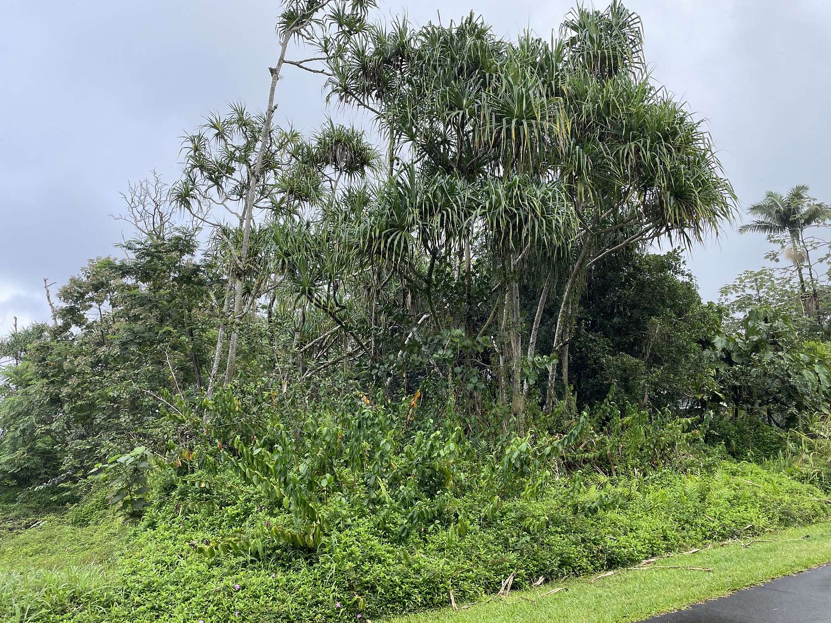 0.28 Acres of Residential Land for Sale in Pahoa, Hawaii