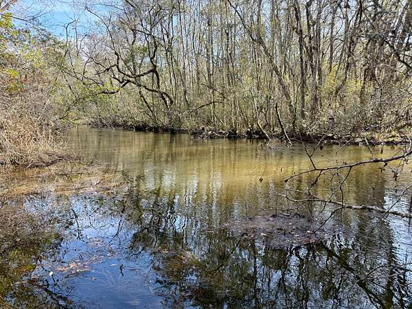 100 Acres of Recreational Land for Sale in Butler, Georgia