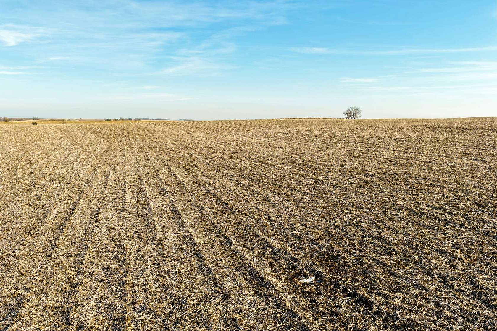 80 Acres of Recreational Land & Farm for Auction in Scranton, Iowa