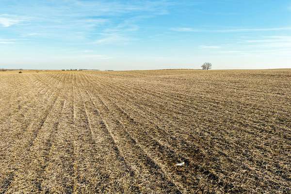 80 Acres of Recreational Land & Farm for Auction in Scranton, Iowa