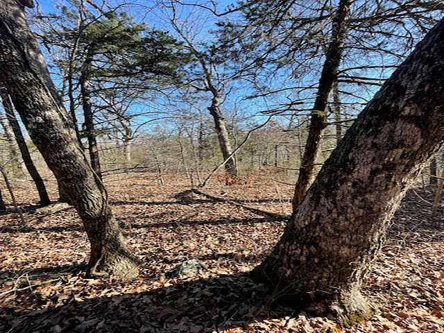 37 Acres of Land for Sale in Yellville, Arkansas