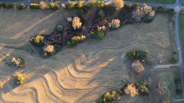 2.19 Acres of Residential Land for Sale in Grant, Alabama