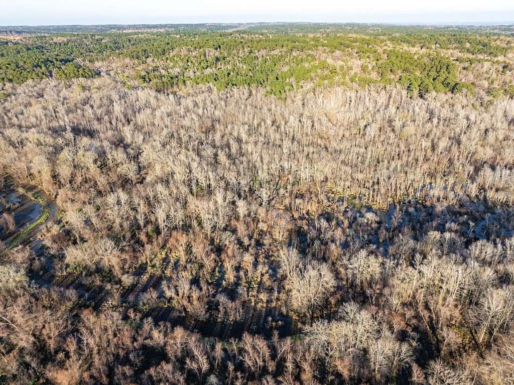 20 Acres of Recreational Land for Sale in Frankston, Texas