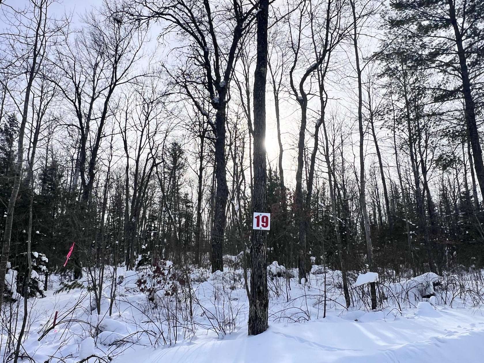 1.75 Acres of Residential Land for Sale in Eagle River, Wisconsin