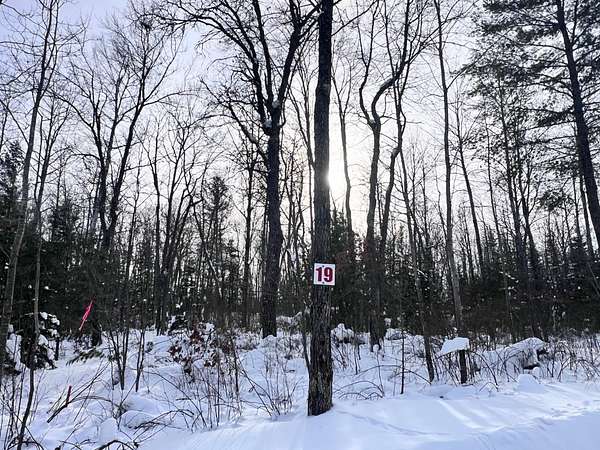 1.75 Acres of Residential Land for Sale in Eagle River, Wisconsin