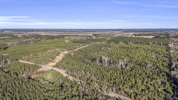 105 Acres of Recreational Land for Sale in Louisville, Mississippi