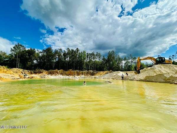 57.7 Acres of Recreational Land for Sale in Kiln, Mississippi