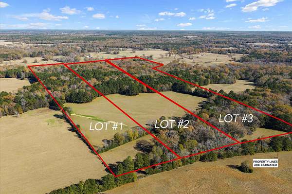 19.6 Acres of Land for Sale in Carthage, Texas