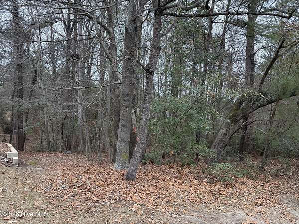 0.31 Acres of Residential Land for Sale in Pinehurst, North Carolina