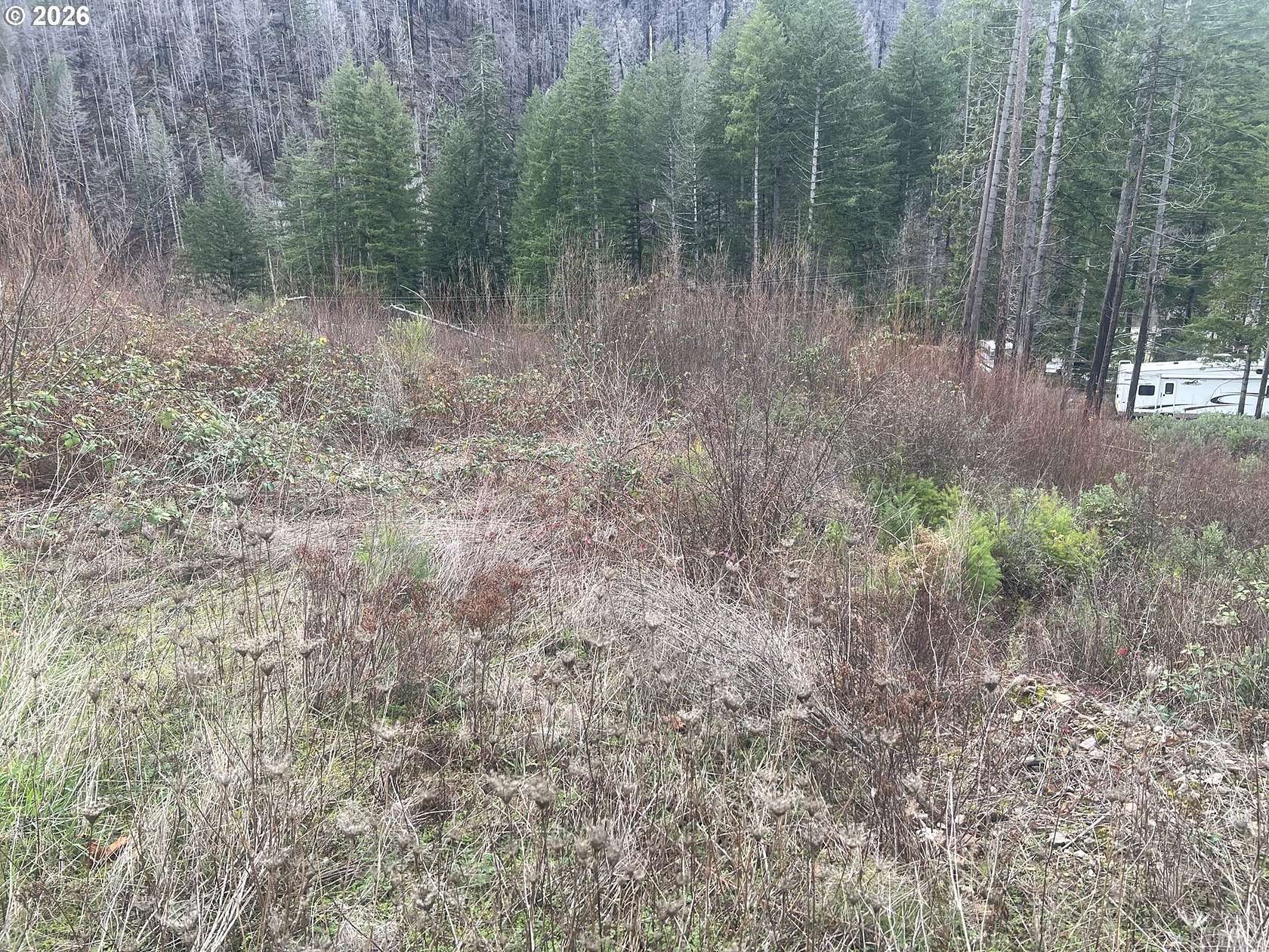 0.46 Acres of Residential Land for Sale in Idleyld Park, Oregon
