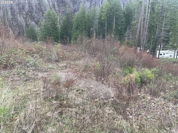 0.46 Acres of Residential Land for Sale in Idleyld Park, Oregon