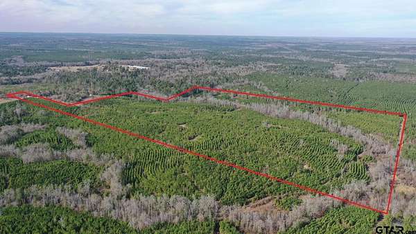 78 Acres of Recreational & Residential Land for Sale in Jefferson, Texas