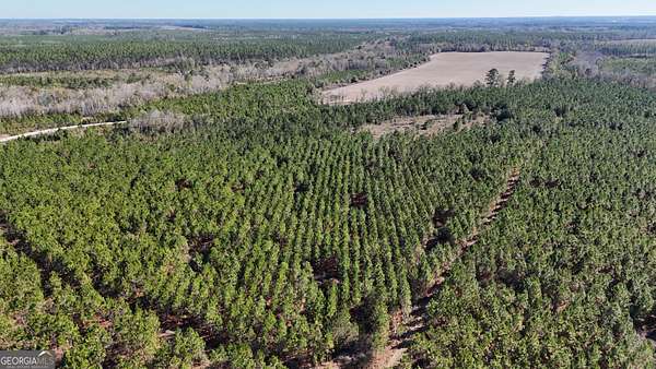 19 Acres of Recreational Land & Farm for Sale in Odum, Georgia