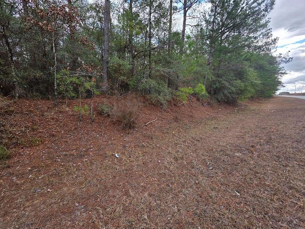 2 Acres of Residential Land for Sale in Fort Gaines, Georgia