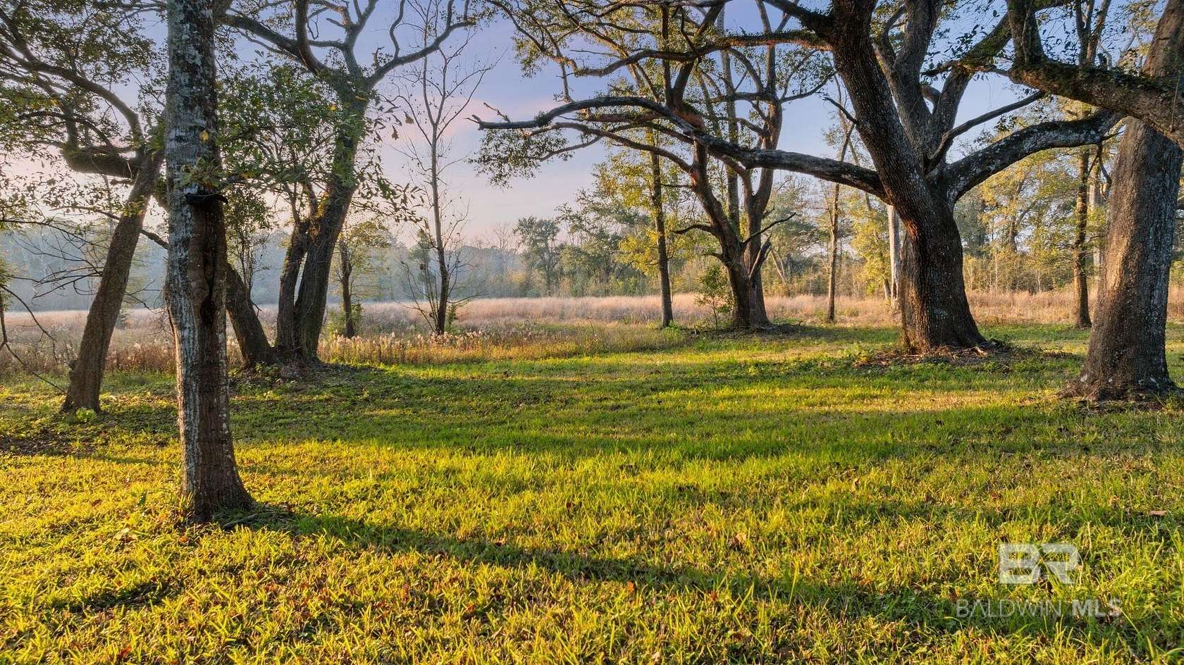 20 Acres of Agricultural & Residential Land for Sale in Fairhope, Alabama