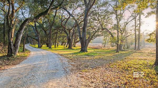 20 Acres of Agricultural & Residential Land for Sale in Fairhope, Alabama