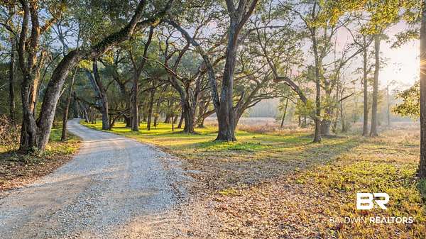 20 Acres of Agricultural & Residential Land for Sale in Fairhope, Alabama