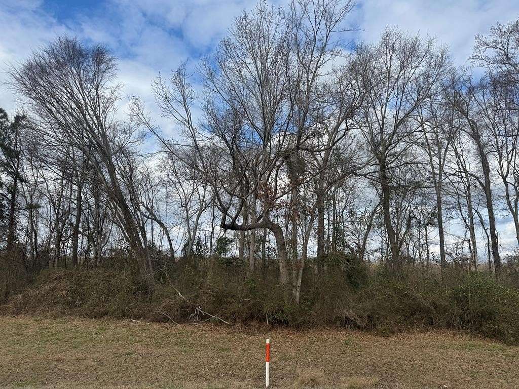 1.38 Acres of Residential Land for Sale in Chappells, South Carolina