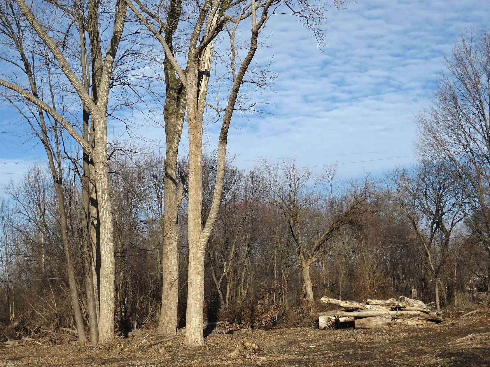 1 Acre of Residential Land for Sale in Fraser, Michigan