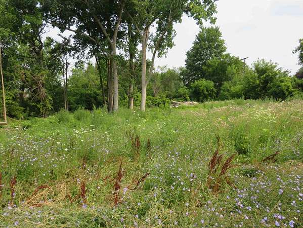 1 Acre of Residential Land for Sale in Fraser, Michigan