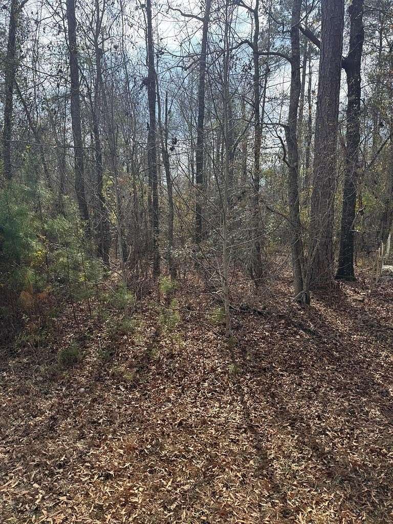 0.55 Acres of Residential Land for Sale in Abbeville, Alabama