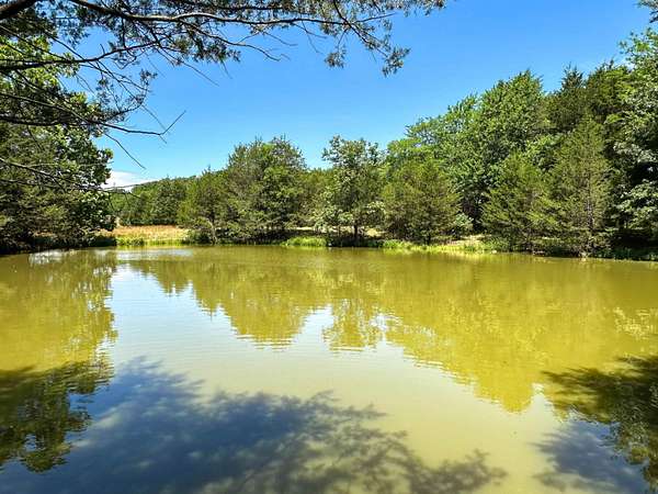 101 Acres of Land for Sale in Wiseman, Arkansas