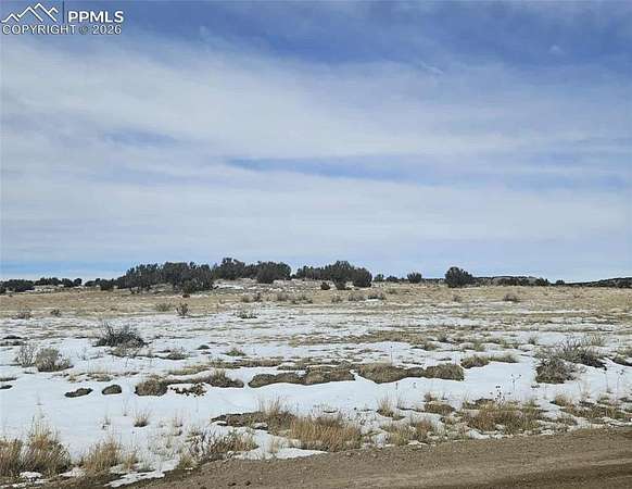 40 Acres of Land for Sale in Model, Colorado