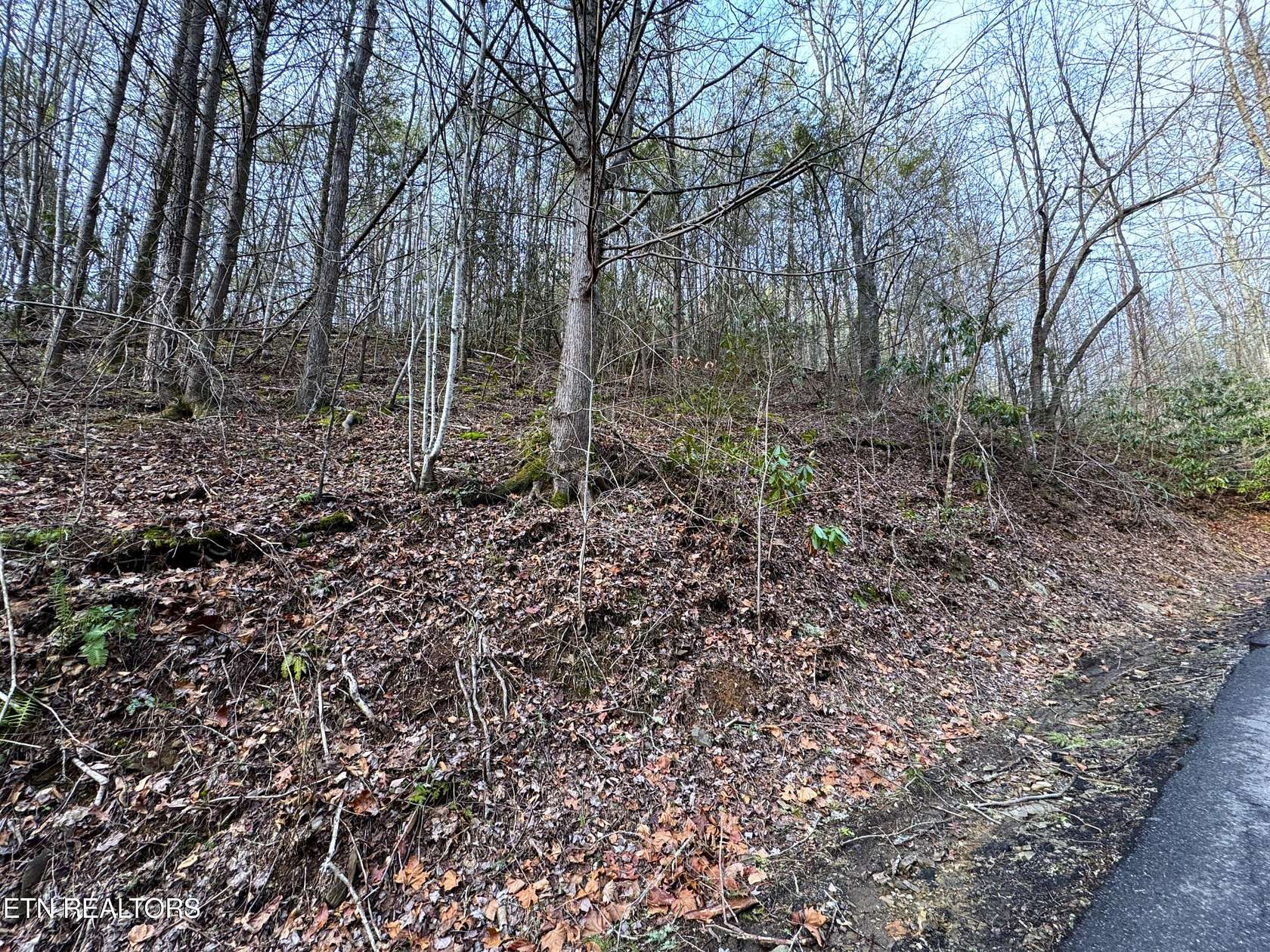 0.64 Acres of Residential Land for Sale in Gatlinburg, Tennessee