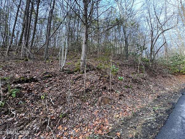 0.64 Acres of Residential Land for Sale in Gatlinburg, Tennessee