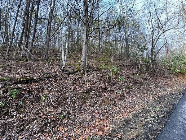 0.64 Acres of Land for Sale in Gatlinburg, Tennessee