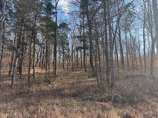 10.2 Acres of Recreational Land for Sale in Waverly, Tennessee