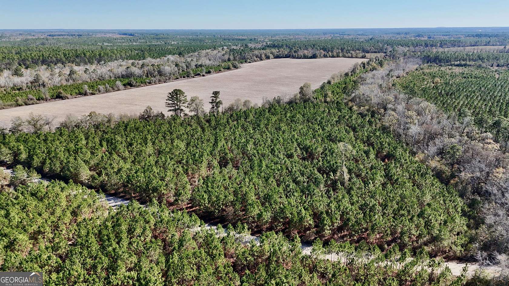 12 Acres of Recreational Land & Farm for Sale in Odum, Georgia