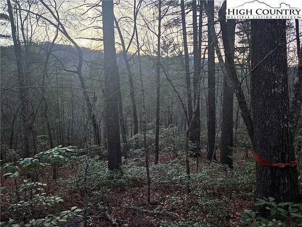0.45 Acres of Residential Land for Sale in Deep Gap, North Carolina