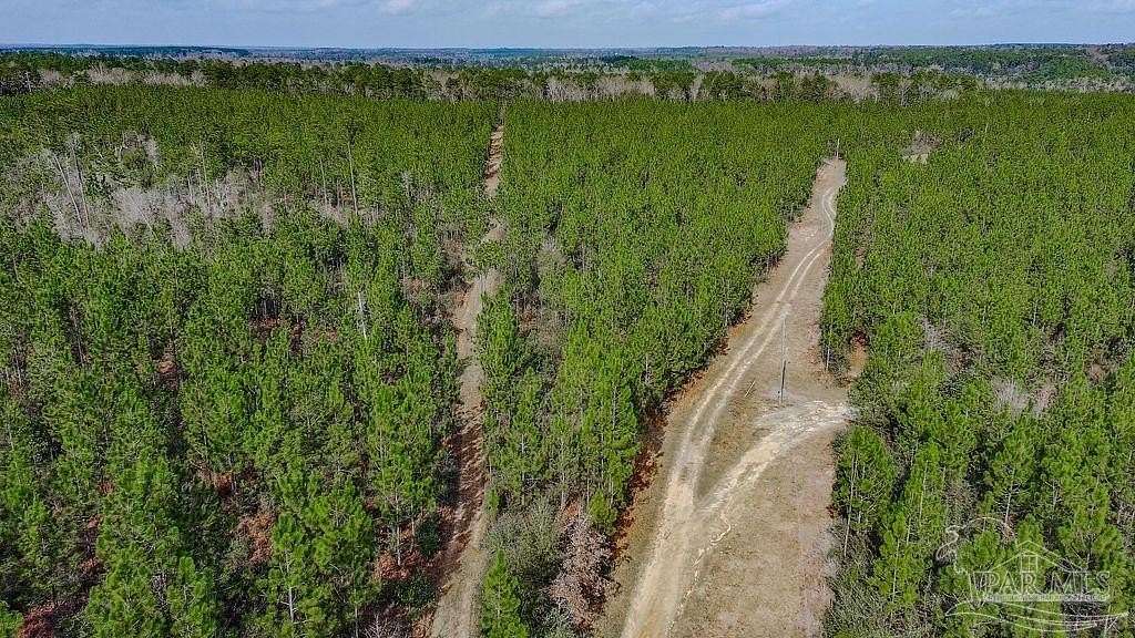 10.7 Acres of Land for Sale in Milton, Florida