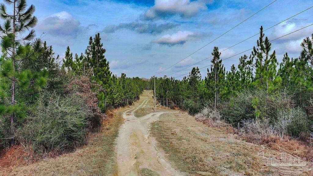 10.7 Acres of Land for Sale in Milton, Florida