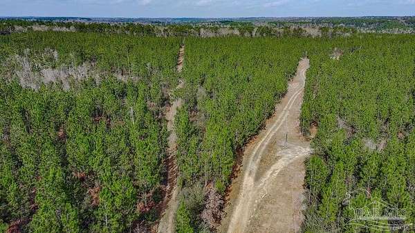 10.7 Acres of Land for Sale in Milton, Florida
