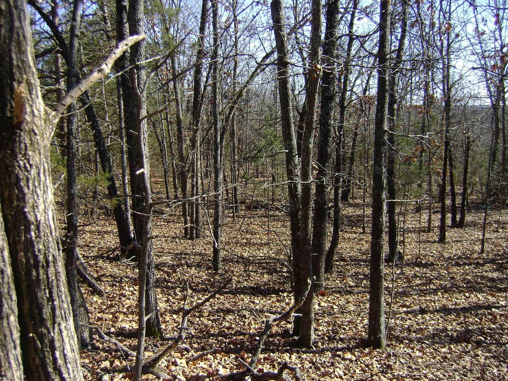 2.69 Acres of Land for Sale in Ash Flat, Arkansas