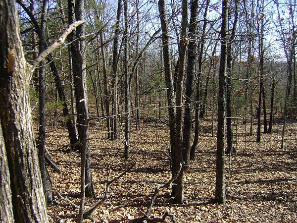 2.69 Acres of Land for Sale in Ash Flat, Arkansas