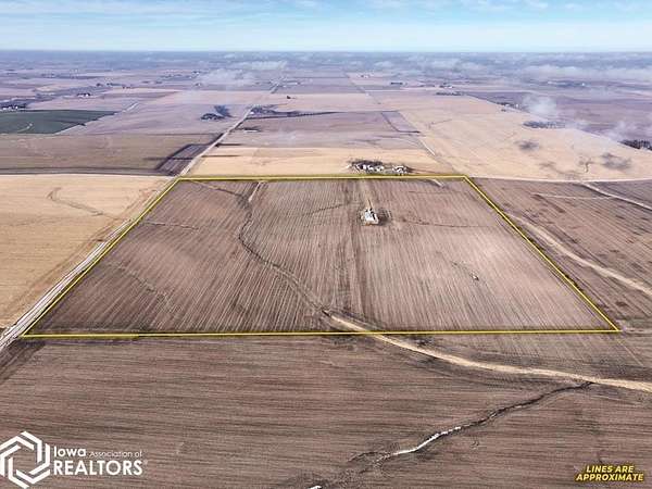 313 Acres of Agricultural Land for Auction in Buckingham, Iowa