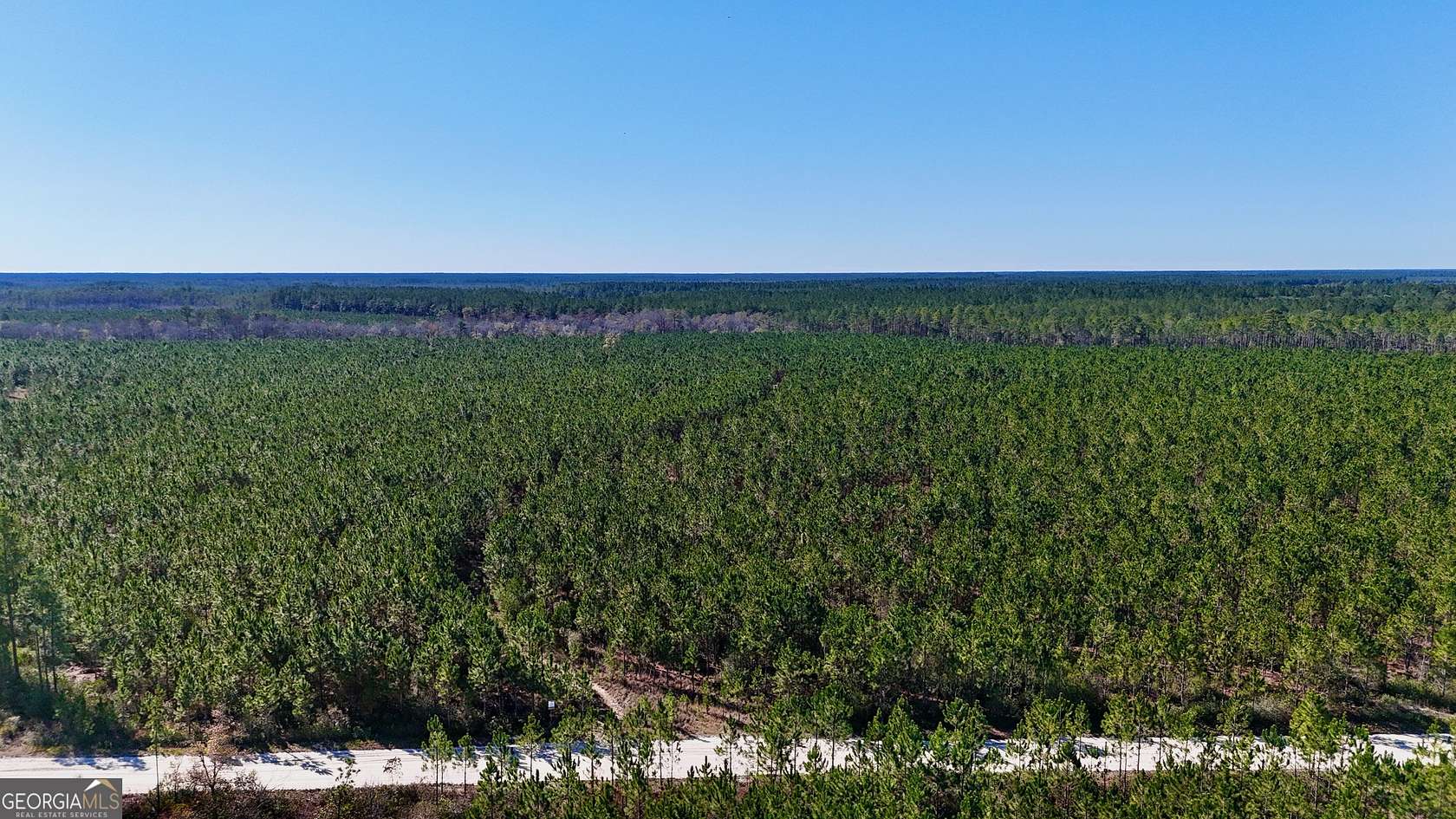 28 Acres of Recreational Land & Farm for Sale in Odum, Georgia