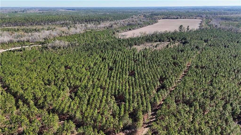 30 Acres of Land for Sale in Odum, Georgia