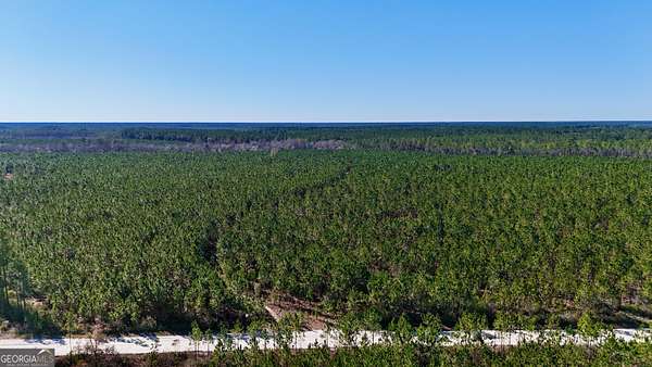 28 Acres of Recreational Land & Farm for Sale in Odum, Georgia