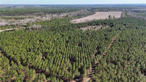 30 Acres of Land for Sale in Odum, Georgia