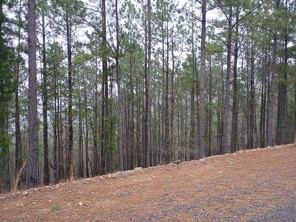 1.4 Acres of Residential Land for Sale in Broken Bow, Oklahoma