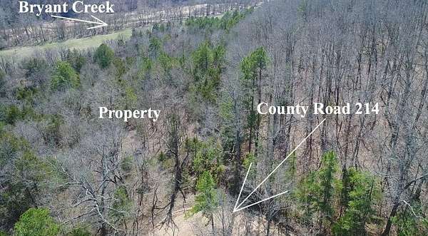 8.28 Acres of Land for Sale in Ava, Missouri