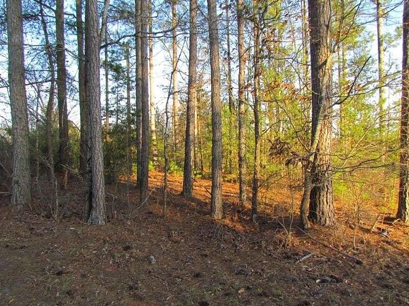 27.7 Acres of Recreational Land for Sale in Spartanburg, South Carolina