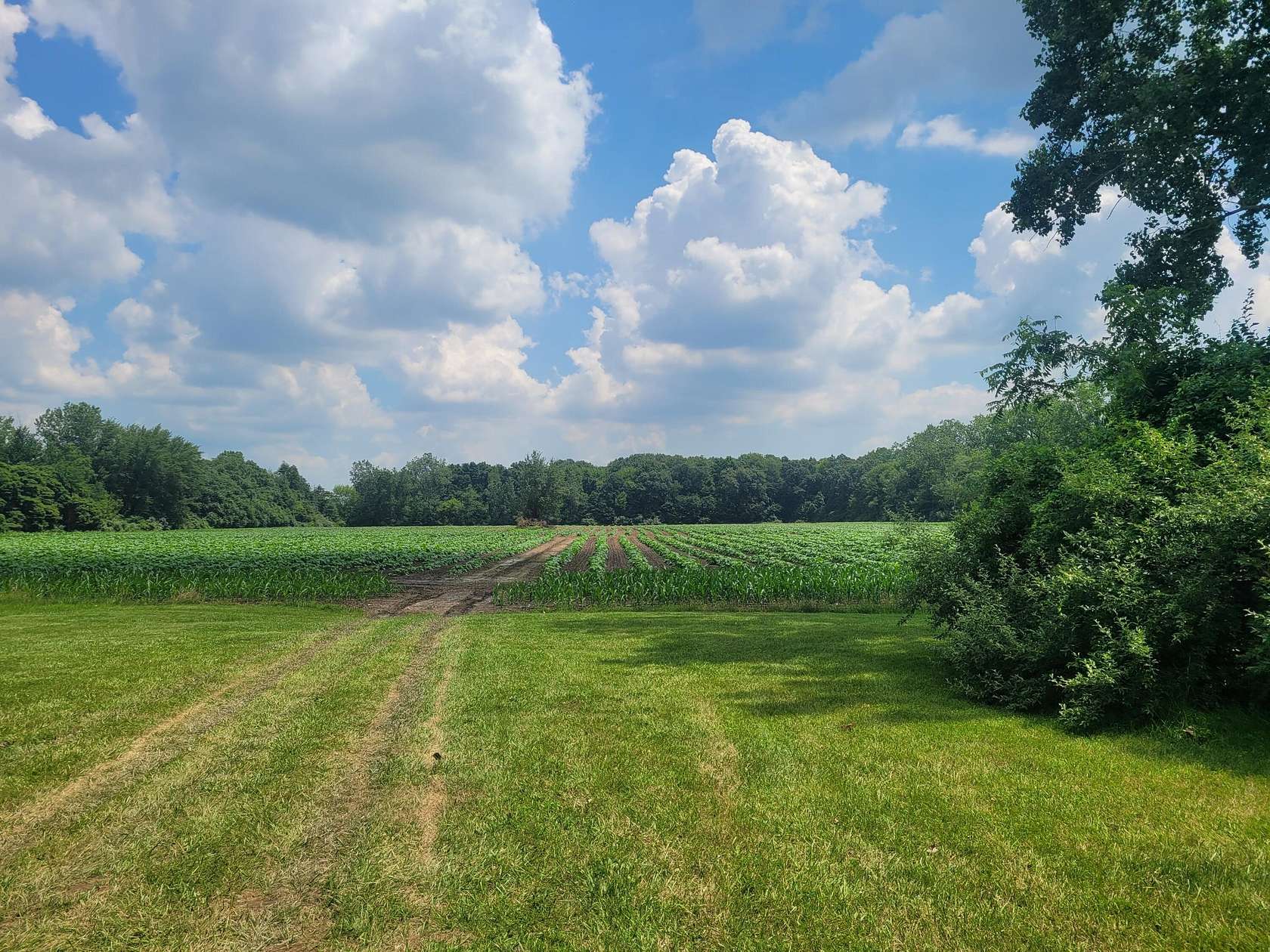 9.23 Acres of Land for Sale in Romulus, Michigan