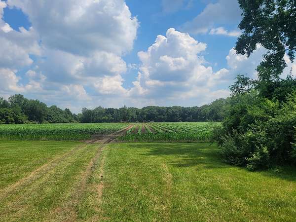 9.23 Acres of Land for Sale in Romulus, Michigan
